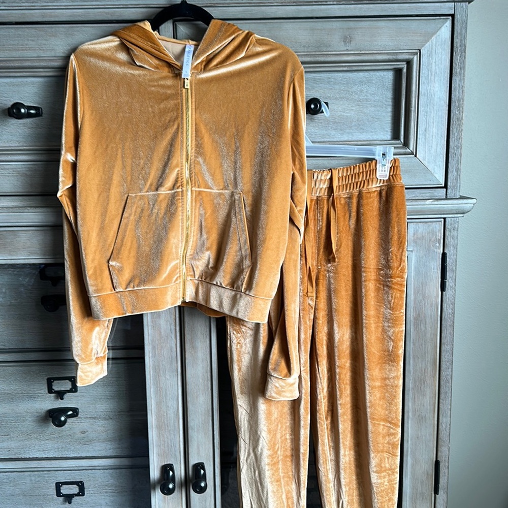 Fabletics velour jogger and zip hoodie set size S